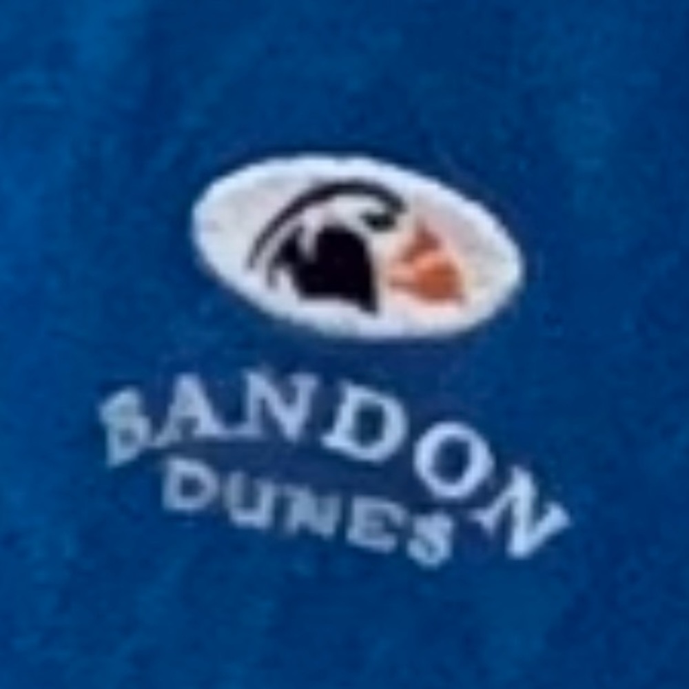 GOLF POLO XXL ASHWORTH BANDON DUNES Oregon Golf Links Argyle Pattern Blue XXL - Picture 1 of 9